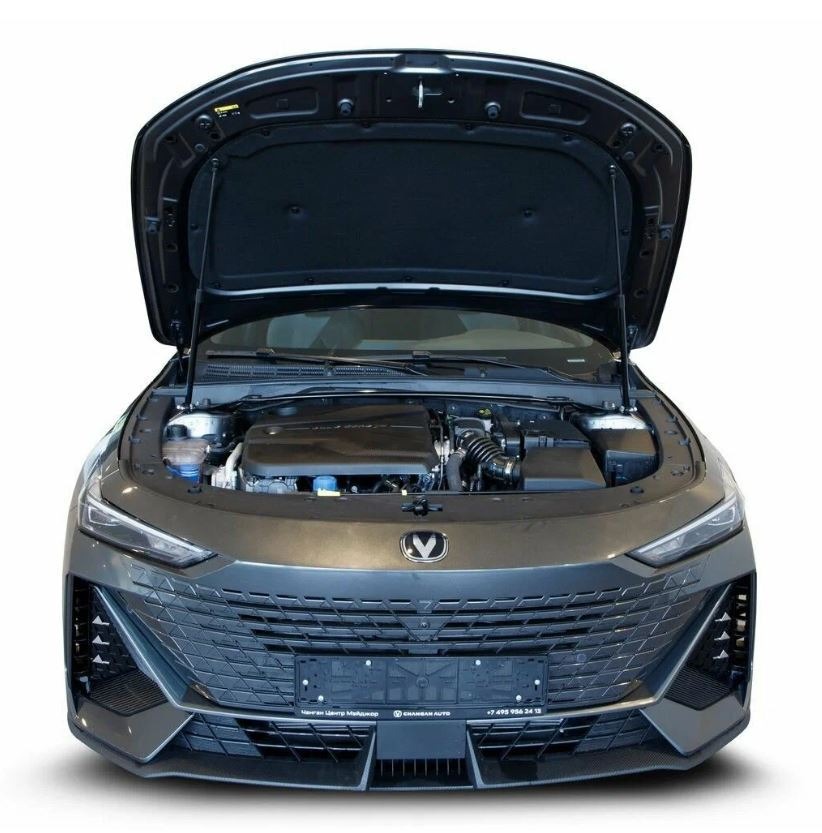 Амортизаторы капота (2 шт.) Changan UNI-V 2022-