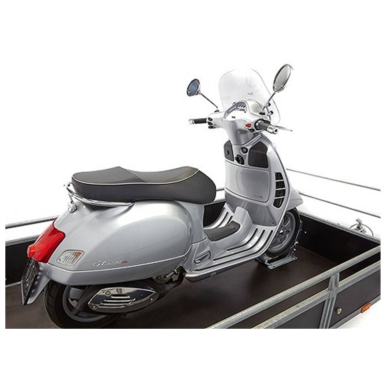 Купить стационарный упор для скутера (6006) acebikes по цене . Низкие цены. Большой выбор. Доставка по всей России. Интернет-магазин в Москве. Только положительные отзывы!