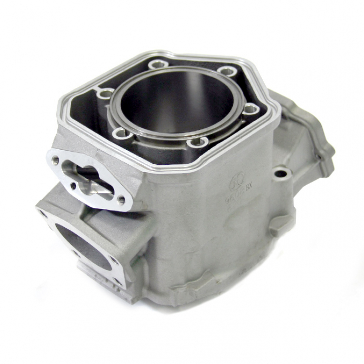 Купить цилиндр brp 593 sm-09608 по цене 39 872 р.. Низкие цены. Большой выбор. Доставка по всей России. Интернет-магазин в Москве. Только положительные отзывы!