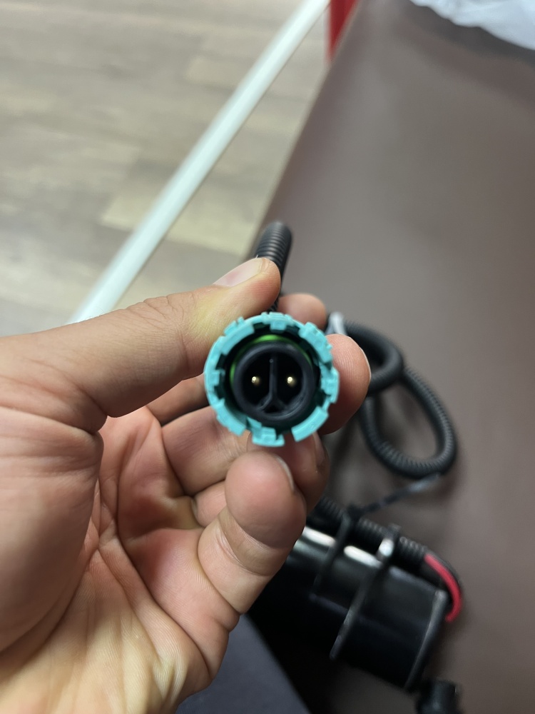 Купить электромотор для электроподъёмика elp01 sea-pro по цене 10 100.00 р. Низкие цены. Большой выбор. Доставка по всей России. Интернет-магазин в Москве. Только положительные отзывы!