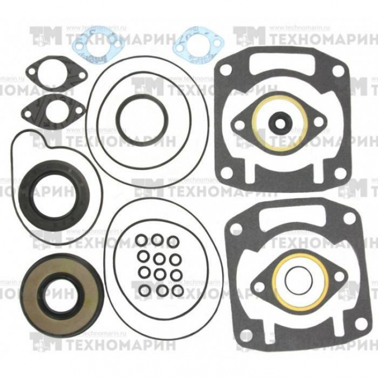 Купить полный комплект прокладок arctic cat 550lc/580lc 09-711189 по цене 4 077 р.. Низкие цены. Большой выбор. Доставка по всей России. Интернет-магазин в Москве. Только положительные отзывы!