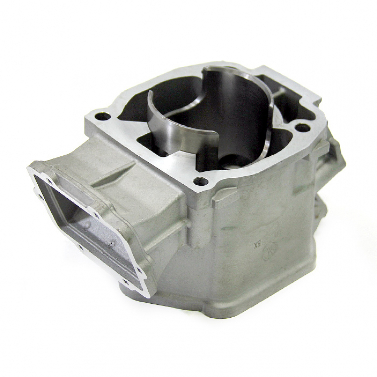 Купить цилиндр brp 593 sm-09608 по цене 39 872 р.. Низкие цены. Большой выбор. Доставка по всей России. Интернет-магазин в Москве. Только положительные отзывы!