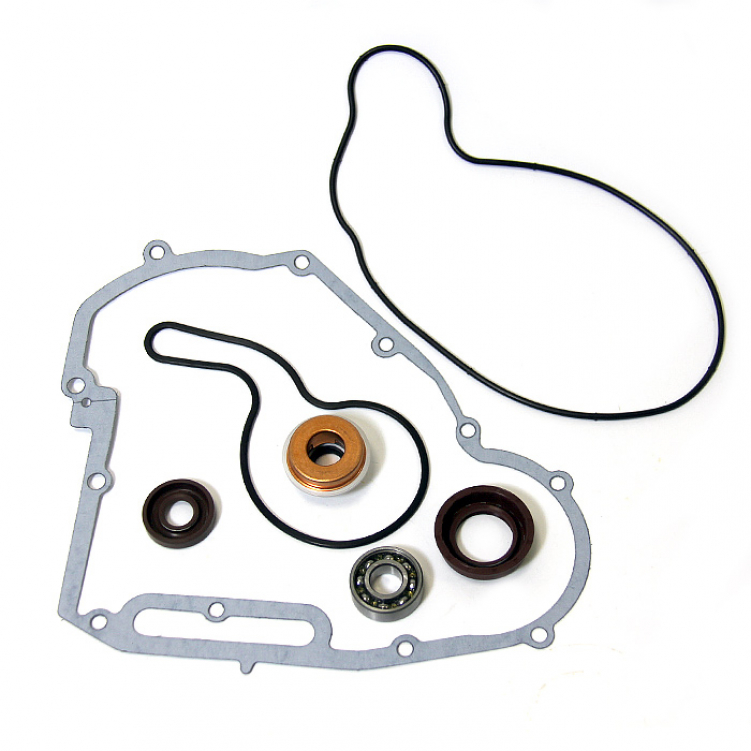 Купить ремкомплект помпы охлаждения polaris at-10085 по цене 9 636 р.. Низкие цены. Большой выбор. Доставка по всей России.  Интернет-магазин в Москве. Только положительные отзывы!
