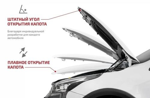 Амортизаторы капота (2 шт.) FAW Bestune T77 2021-, Lada X-Cross 5 2023-