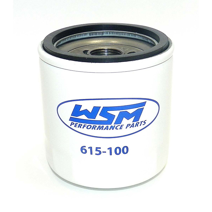 Купить масляный фильтр yamaha 615-100 по цене 1 329 р.. Низкие цены. Большой выбор. Доставка по всей России. Интернет-магазин в Москве. Только положительные отзывы!