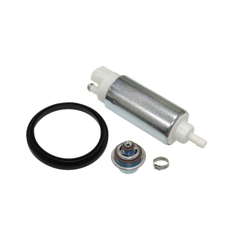 Купить топливный насос polaris sm-07703 по цене 114 р.. Низкие цены. Большой выбор. Доставка по всей России. Интернет-магазин в Москве. Только положительные отзывы!