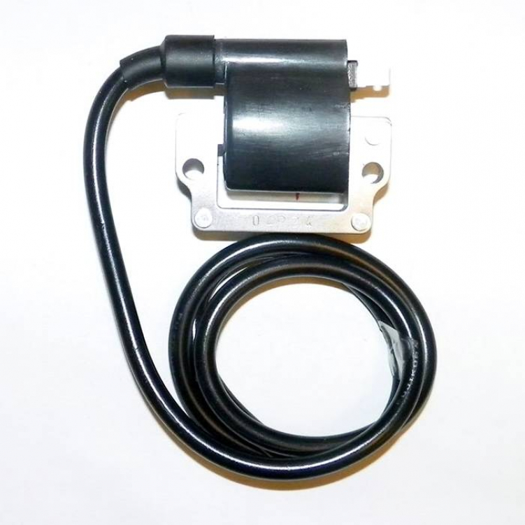 Купить катушка зажигания brp 951 004-172 по цене 5 451 р.. Низкие цены. Большой выбор. Доставка по всей России. Интернет-магазин в Москве. Только положительные отзывы!