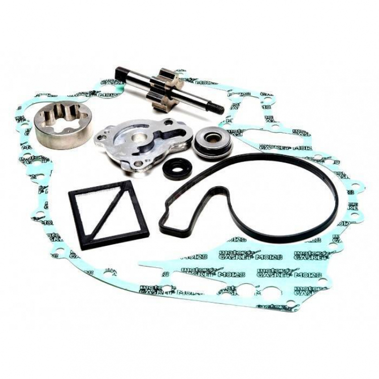 Купить ремкомплект масляного насоса (заднего) brp 1503 010-1200 по цене 14 474 р.. Низкие цены. Большой выбор. Доставка по всей России. Интернет-магазин в Москве. Только положительные отзывы!