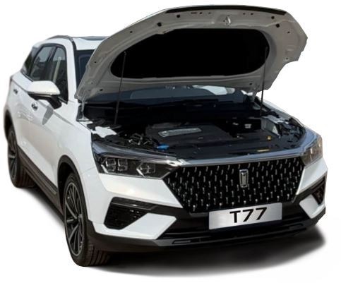 Амортизаторы капота (2 шт.) FAW Bestune T77 2021-, Lada X-Cross 5 2023-