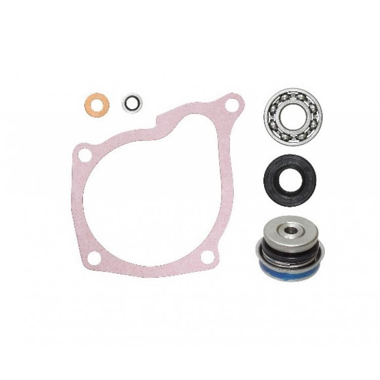 Купить подшипник помпы охлаждения polaris at-10081 по цене 6 920 р.. Низкие цены. Большой выбор. Доставка по всей России.  Интернет-магазин в Москве. Только положительные отзывы!