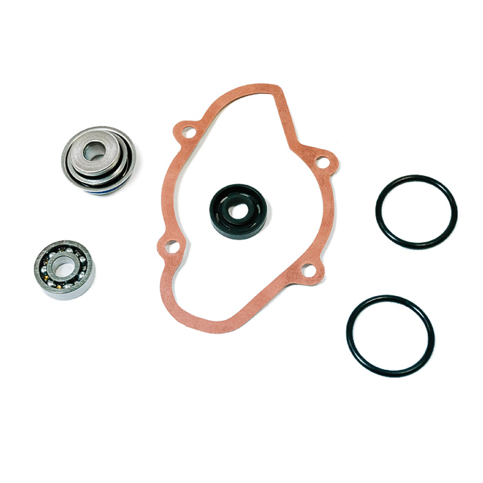 Купить ремкомплект помпы охлаждения brp 10-721312 по цене 3 773 р.. Низкие цены. Большой выбор. Доставка по всей России. Интернет-магазин в Москве. Только положительные отзывы!