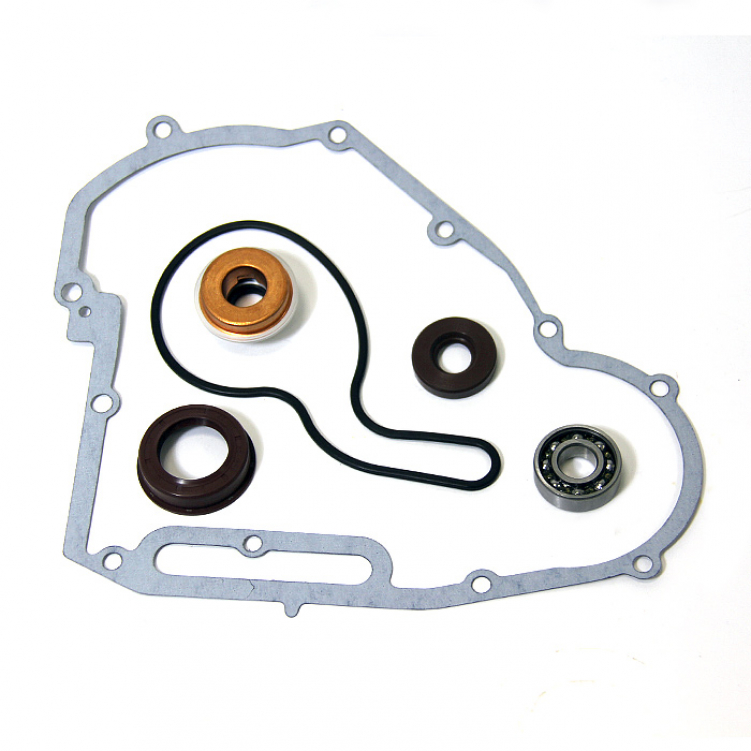 Купить ремкомплект помпы охлаждения polaris at-10086 по цене 8 707 р.. Низкие цены. Большой выбор. Доставка по всей России.  Интернет-магазин в Москве. Только положительные отзывы!