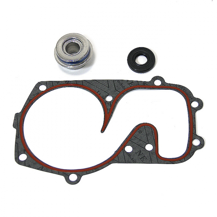 Купить ремкомплект помпы охлаждения polaris 10-721310 по цене 3 010 р.. Низкие цены. Большой выбор. Доставка по всей России. Интернет-магазин в Москве. Только положительные отзывы!