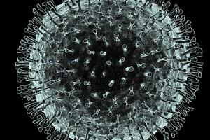 Коронавирус (covid 19)