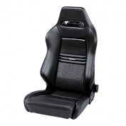 Купить сиденья для багги по цене . Низкие цены. Большой выбор. Доставка по всей России.  Интернет-магазин в Москве. Только положительные отзывы!